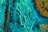 Polished Chrysocolla & Plume Malachite - Bagdad Mine, Arizona #136114-1